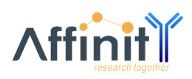 Affinity Biotech