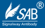 Signalway Antibody (SAB)