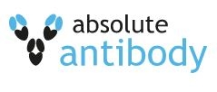 Absolute Antibody