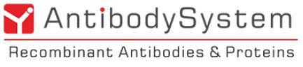 Antibody System