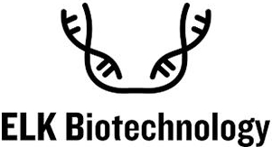 ELK Biotechnology