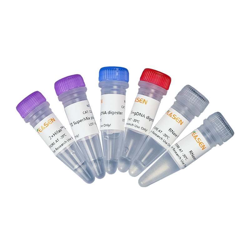 [YEASEN] Hifair™ Ⅲ 1st Strand cDNA Synthesis SuperMix for qPCR (gDNA Digester Plus)