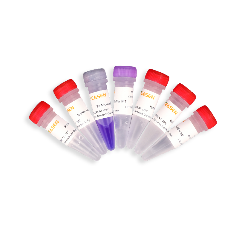 [YEASEN] Mouse Tissue Direct PCR Kit (With Dye)