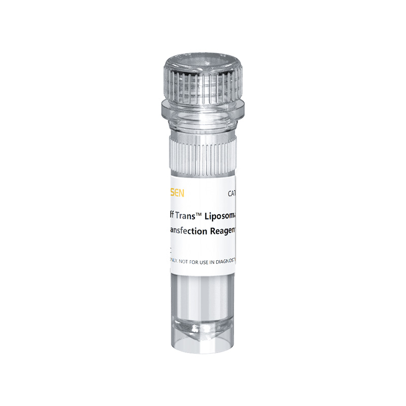 [YEASEN] Hieff Trans™ Liposomal Transfection Reagent