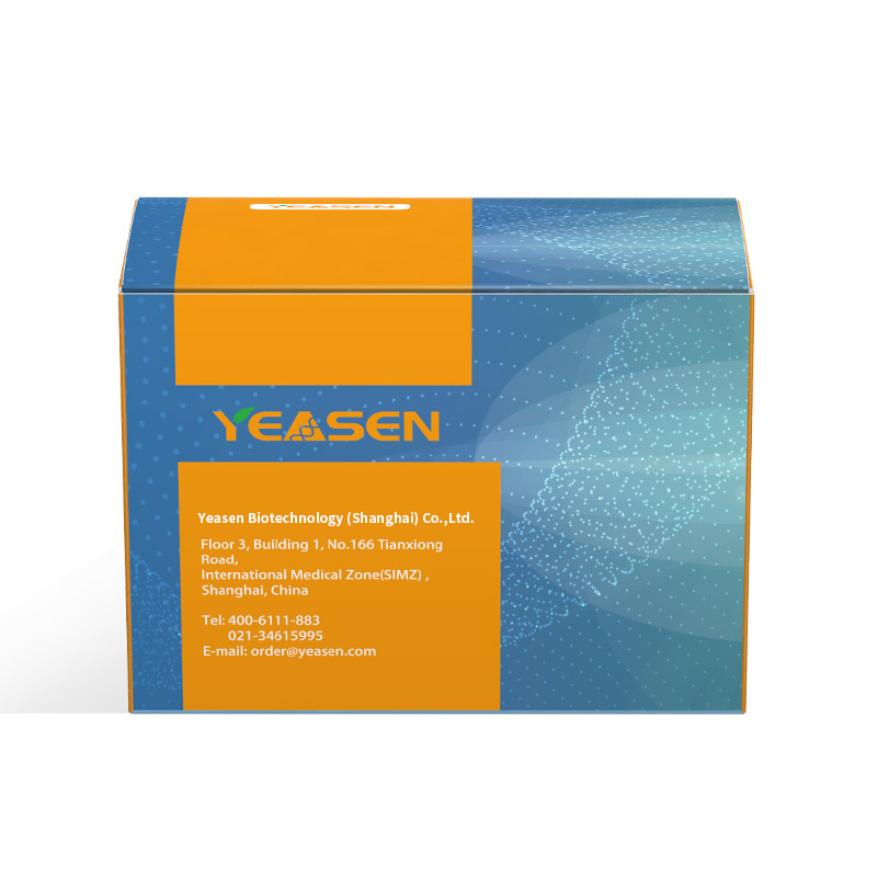 [YEASEN] MycAway™ Treatment (1000×) - Mycoplasma Elimination Reagent