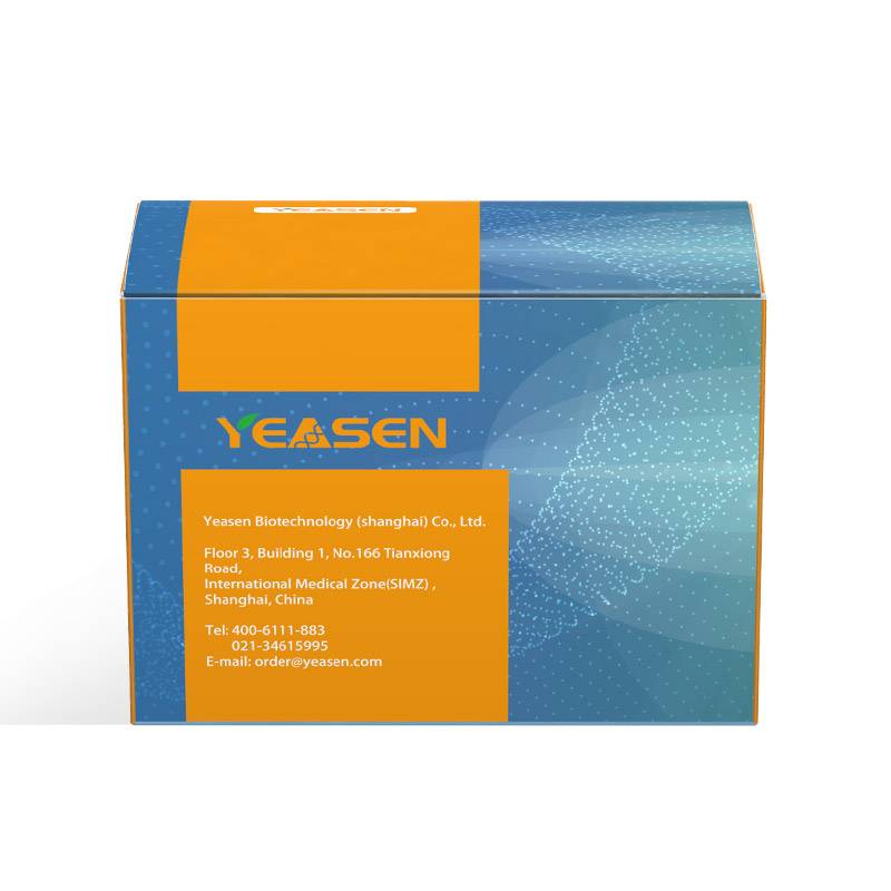 [YEASEN] YeaRed™ Nucleic Acid Gel Stain (10,000× in Water)