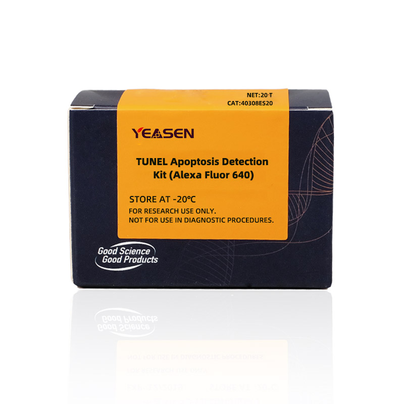 [YEASEN] TUNEL Apoptosis Detection Kit (YSFluorTM 640)