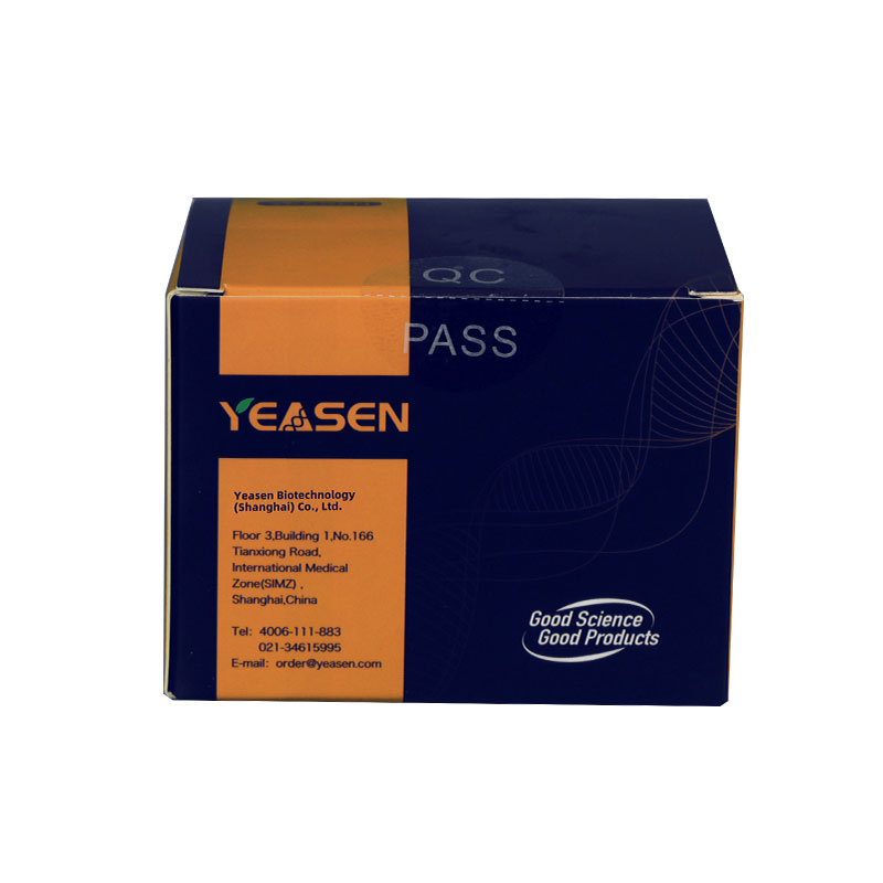 [YEASEN] Annexin V-EGFP/PI Apoptosis Detection Kit