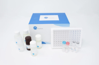 [Finetest] Human Anti-MPV IgG (Anti-Monkeypox Virus IgG) ELISA Kit