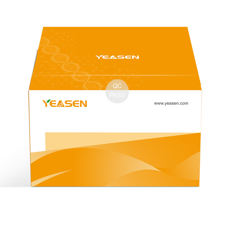 [YEASEN] Hifair® Precision sgRNA Synthesis Kit