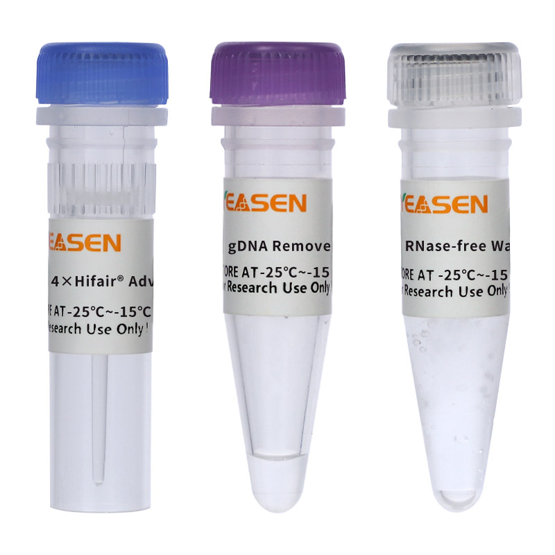 [YEASEN] Hifair™ AdvanceFast One-step RT-gDNA Digestion SuperMix for qPCR