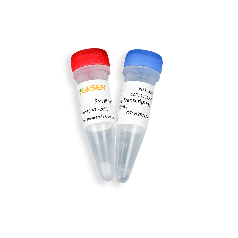 [YEASEN] Hifair™ IV Reverse Transcriptase (200 U/μL)