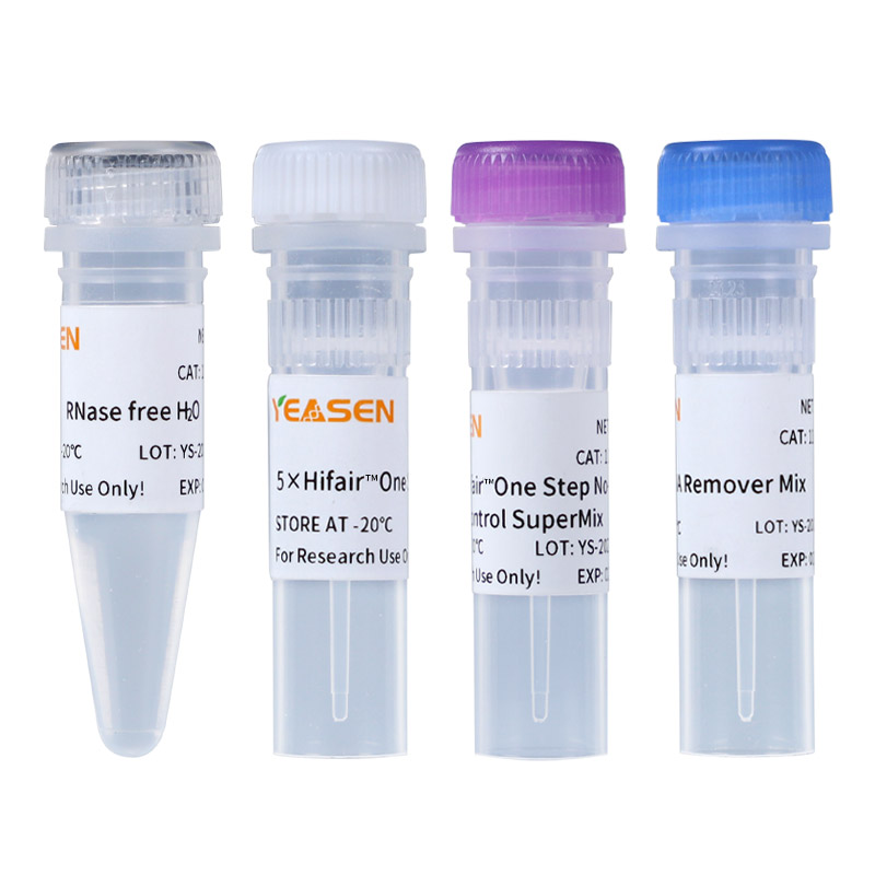 [YEASEN] Hifair™ V one-step RT-gDNA digestion SuperMix for qPCR