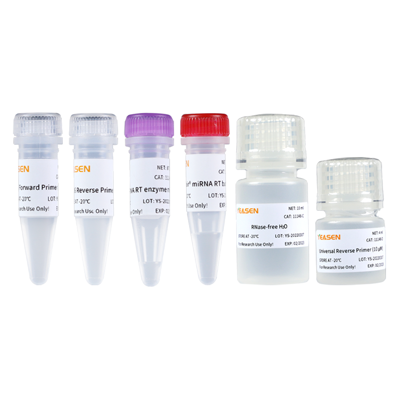 [YEASEN] Hifair™ miRNA 1st Strand cDNA Synthesis Kit (poly A)