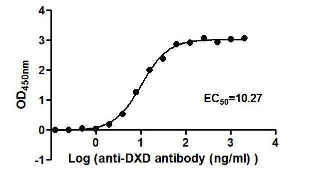 [Cusabio] DXD Monoclonal Antibody, HRP conjugated