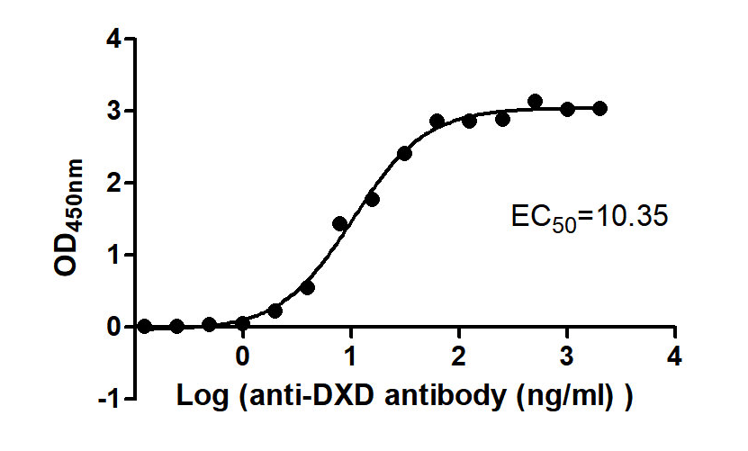 [Cusabio] DXD Monoclonal Antibody, HRP conjugated