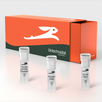 [Biotechrabbit] YourTaq™ Hot-Start DNA Polymerase, 5 U/µl