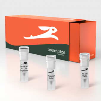 [Biotechrabbbit] ApStarTaq™ Hot-Start DNA Polymerase, 5 U/µl