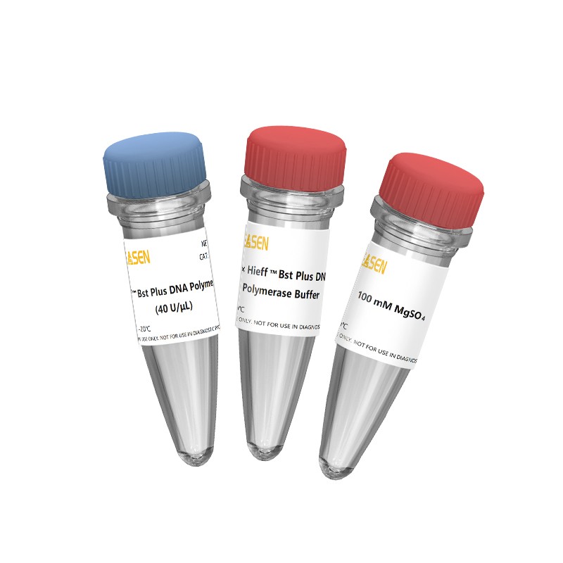 [YEASEN] Hieff™ Bst Plus DNA Polymerase