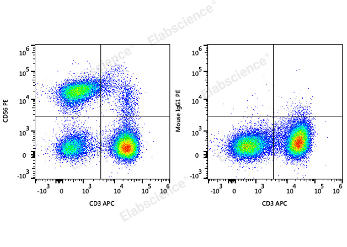 [Elabscience] PE Anti-Human CD56/NCAM Antibody[5.1H11]