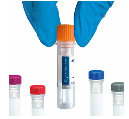 [AFG Scientific] GPA33 Antibody