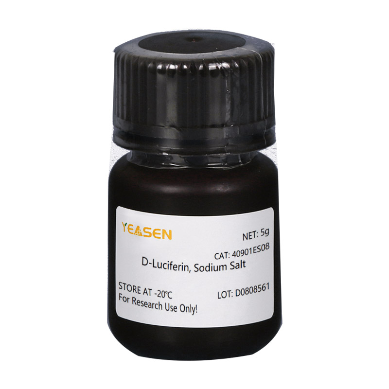 [YEASEN] D-Luciferin, Sodium Salt