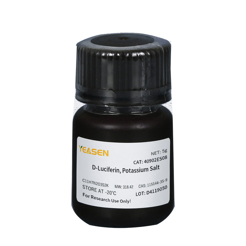 [YEASEN] D-Luciferin, Potassium Salt