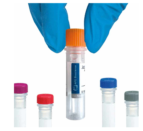 [AFG Scientific] FTL Antibody, FITC conjugated