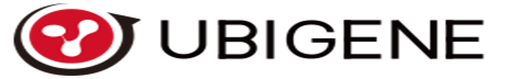 [UBIGENE] Luciferase Stable Cell Lines