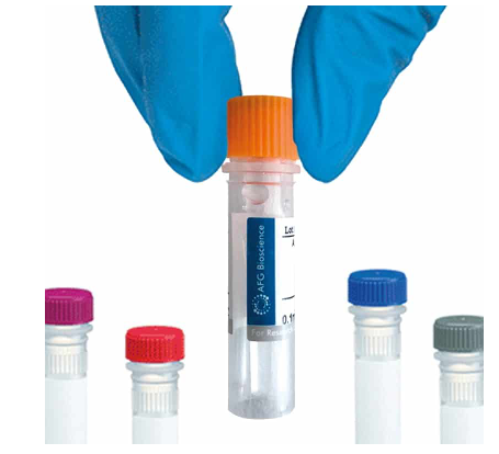 [AFG Scientific] GCG Monoclonal Antibody