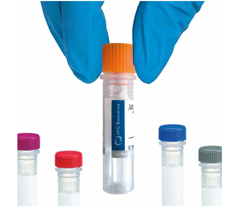 [AFG Scientific] KRT13 Monoclonal Antibody