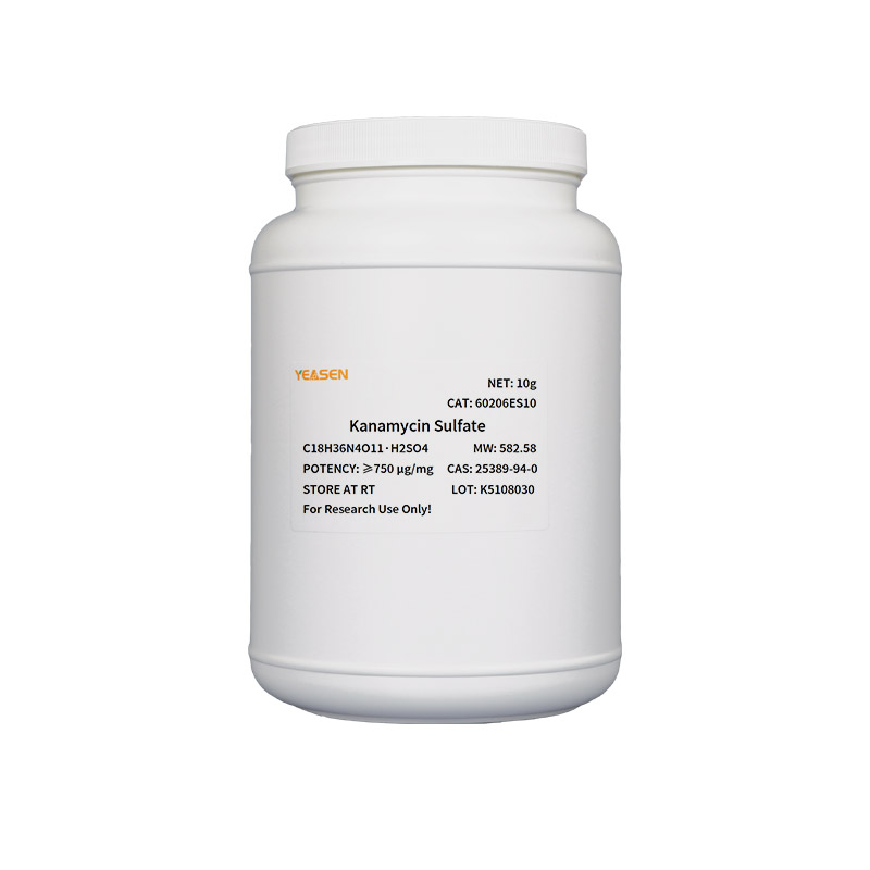 [YEASEN] Kanamycin Sulfate