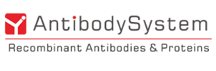 [Antibodysystem] Recombinant BCCV Gn/Glycoprotein N Protein, N-His