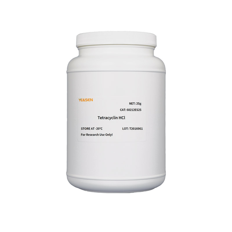 [YEASEN] Tetracyclin HCl