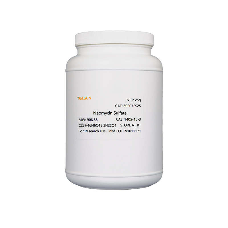 [YEASEN] Neomycin Sulfate