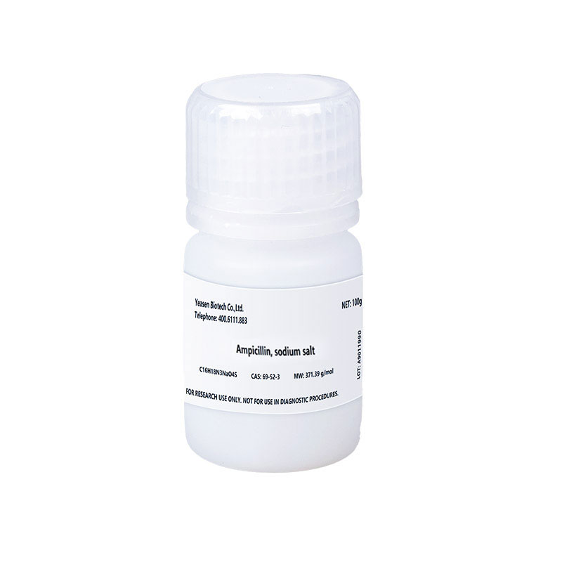 [YEASEN] Ampicillin, Sodium Salt