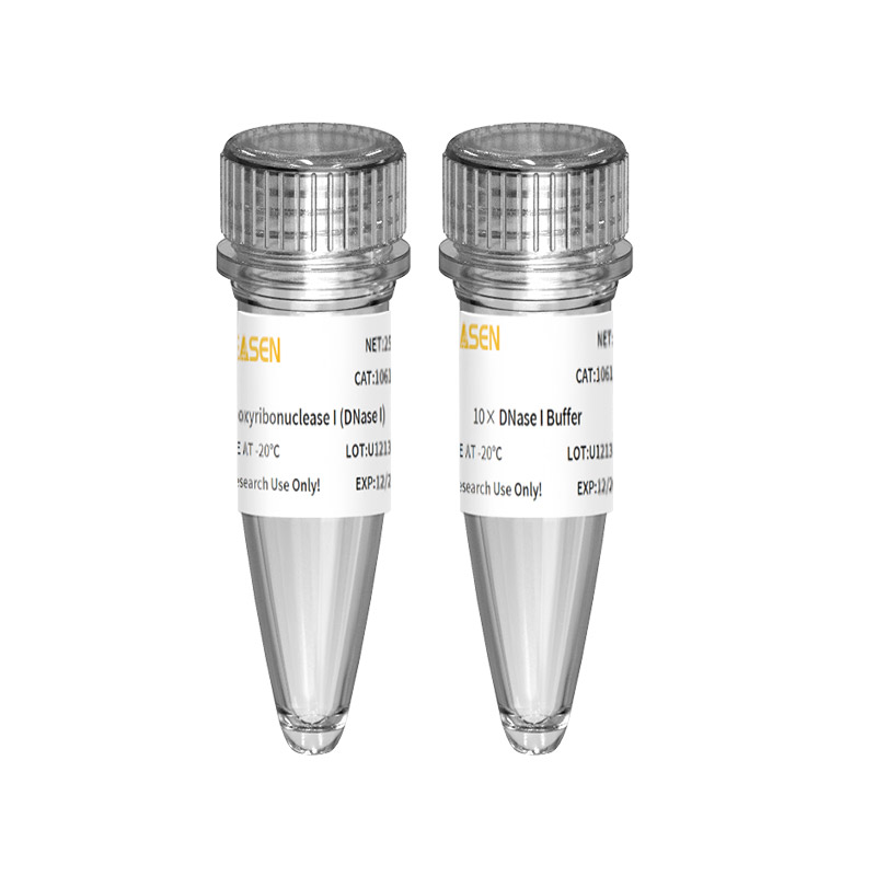 [YEASEN] Recombinant Deoxyribonuclease I  (DNase I，RNase-free) GMP-grade (2 U/μL)