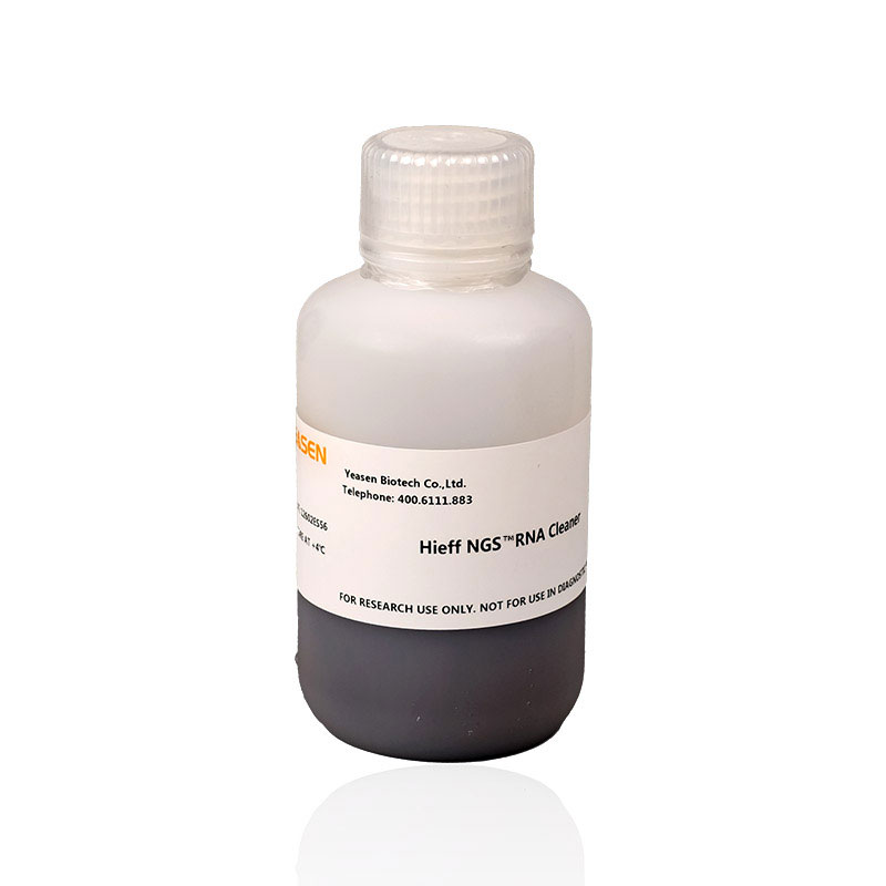 [YEASEN] Hieff NGS™ RNA Cleaner