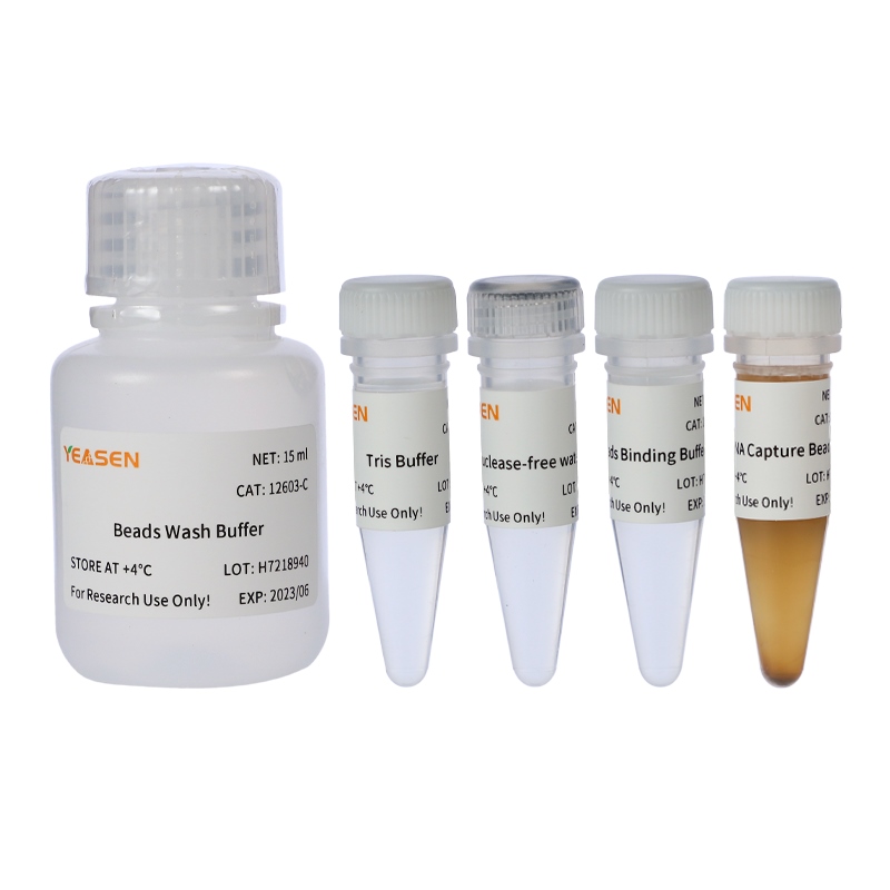 [YEASEN] Hieff NGS™ mRNA Isolation Master Kit