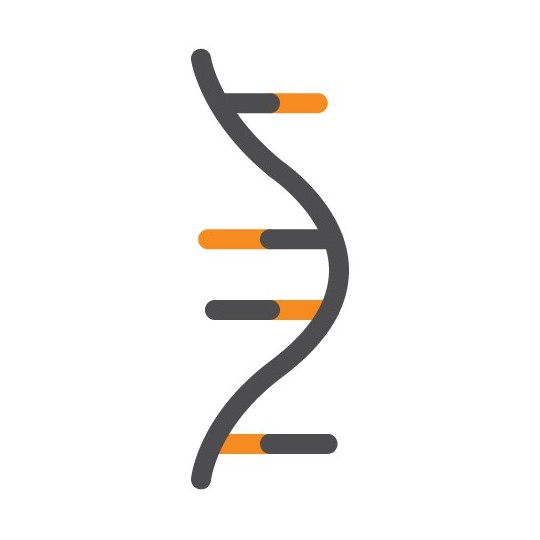 [Minerva Biolabs] ExtractNow™ RNA Mini Kit