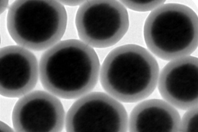 [Nanomicro Technology] Magnetic Silica Beads