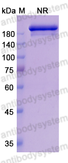 [Antibodysystem] Research Grade Romilkimab