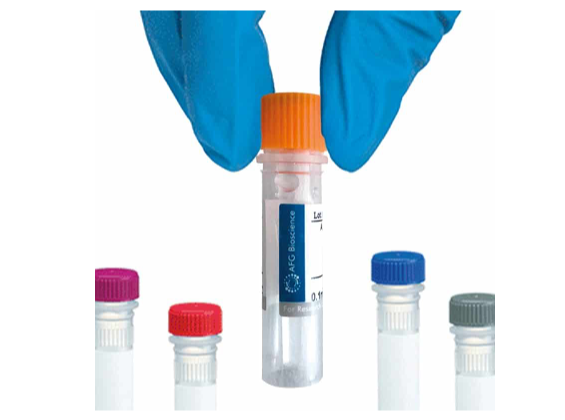 [AFG Scientific] LTF Antibody