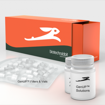 [Biotechrabbit] GenUP™ Bacteria gDNA Kit