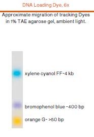 [Biotechrabbit] 6X DNA Loading Dye