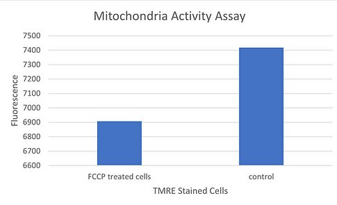 [Signosis] Mitochondria Activity Assay Kit