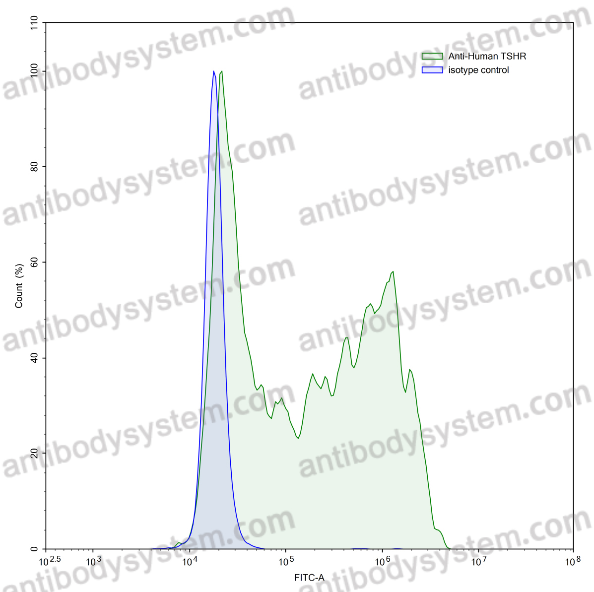 [Antibodysystem] Anti-Human TSHR/LGR3 Antibody (1H7)