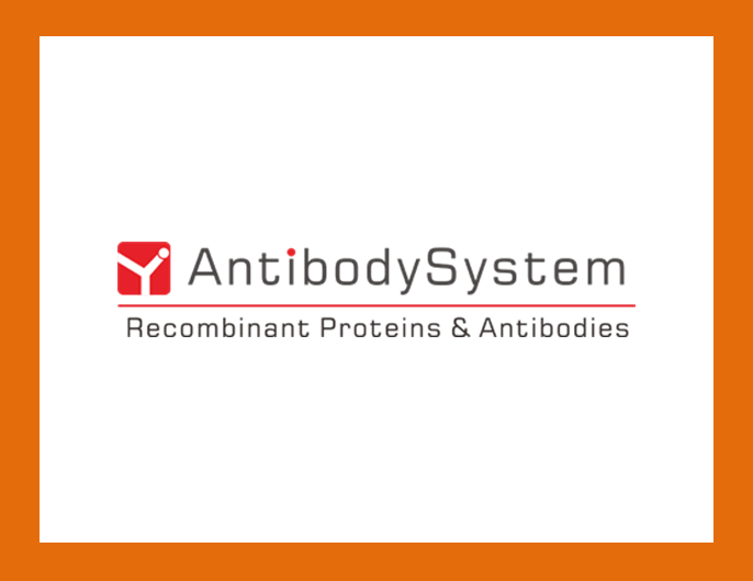 [Antibodysystem] Global Top selling product 리스트