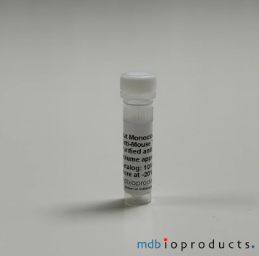 [MD Bioproducts] T1/ST2 (IL-33 R) Mouse, Monoclonal Antibody, 0.5 mL