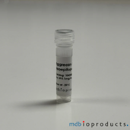 [MD Bioproducts] Aggrecan Antibody, N-terminal neoepitope ARG, 100 ug